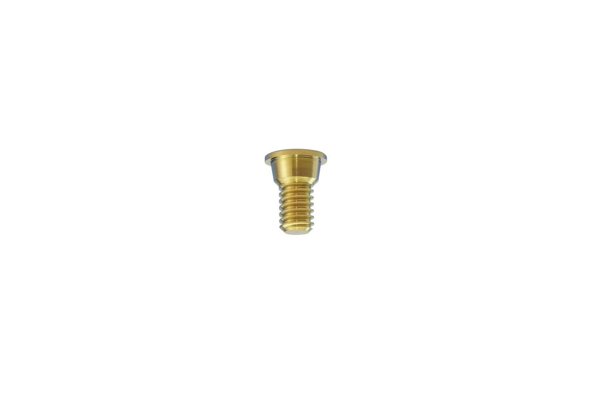 I.C. Cover Screw