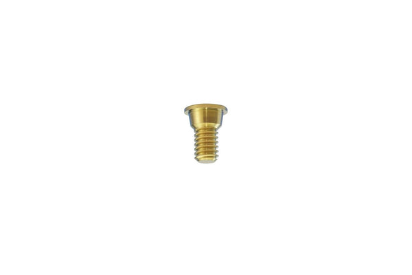 I.C. Cover Screw