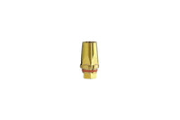 I.C. Abutment