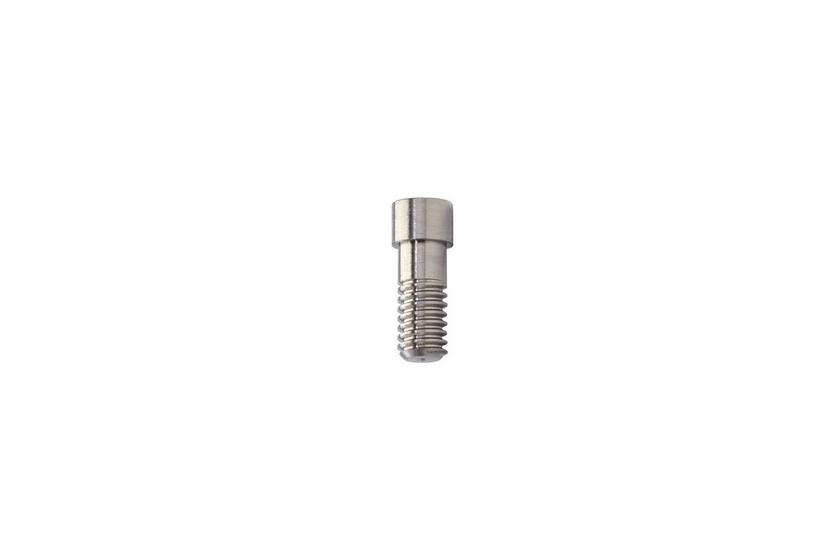 I.C. Abutment Screw