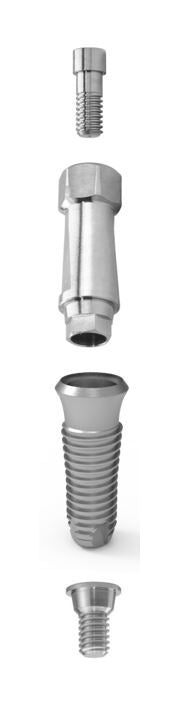 Non Expandable Implants